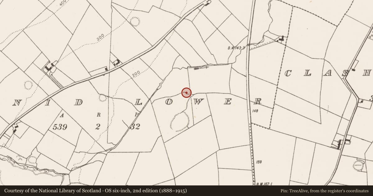 Ordnance Survey six-inch map, 2nd edition (1888–1915) covering the location of Fulacht fia, Shanid Lower, County Limerick, with a pin at the register's coordinates
