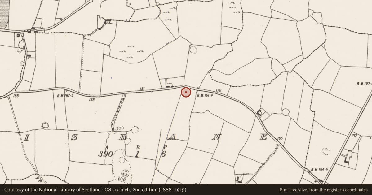 Ordnance Survey six-inch map, 2nd edition (1888–1915) covering the location of Fulacht fia, Lisbane, County Limerick, with a pin at the register's coordinates