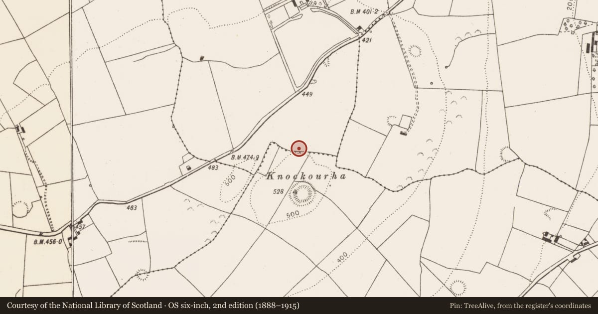 Ordnance Survey six-inch map, 2nd edition (1888–1915) covering the location of Fulacht fia, Cloonyclohassy, County Limerick, with a pin at the register's coordinates