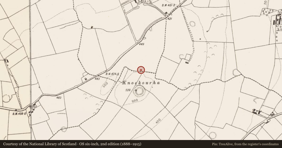 Ordnance Survey six-inch map, 2nd edition (1888–1915) covering the location of Fulacht fia, Cloonyclohassy, County Limerick, with a pin at the register's coordinates