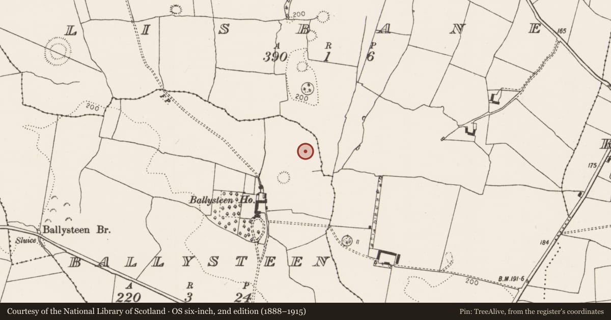 Ordnance Survey six-inch map, 2nd edition (1888–1915) covering the location of Standing stone, Ballysteen, County Limerick, with a pin at the register's coordinates