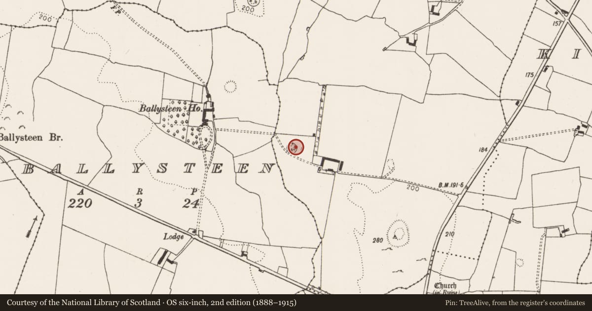 Ordnance Survey six-inch map, 2nd edition (1888–1915) covering the location of Fulacht fia, Lisbane, County Limerick, with a pin at the register's coordinates