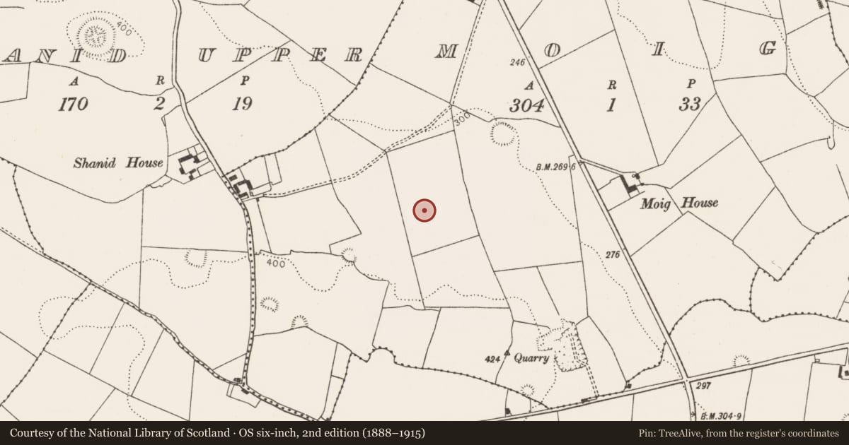 Ordnance Survey six-inch map, 2nd edition (1888–1915) covering the location of Standing stone, Moig, County Limerick, with a pin at the register's coordinates