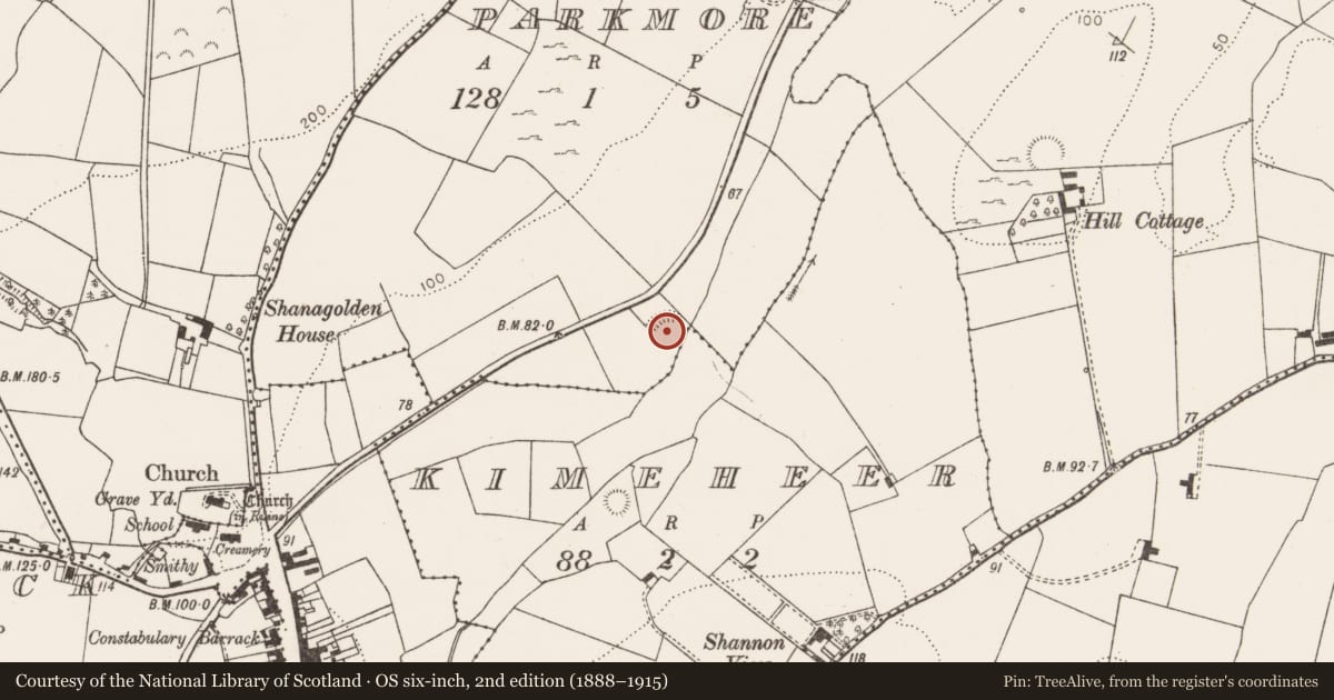 Ordnance Survey six-inch map, 2nd edition (1888–1915) covering the location of Enclosure, Parkmore, County Limerick, with a pin at the register's coordinates