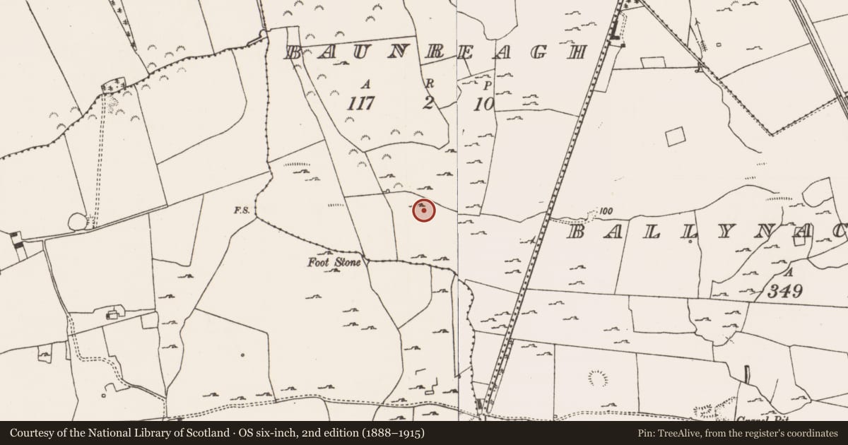 Ordnance Survey six-inch map, 2nd edition (1888–1915) covering the location of Pit, Baunreagh, County Limerick, with a pin at the register's coordinates