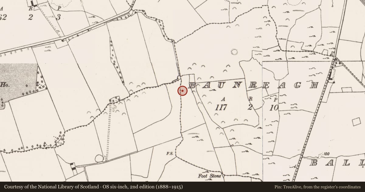 Ordnance Survey six-inch map, 2nd edition (1888–1915) covering the location of Fulacht fia, Baunreagh, County Limerick, with a pin at the register's coordinates
