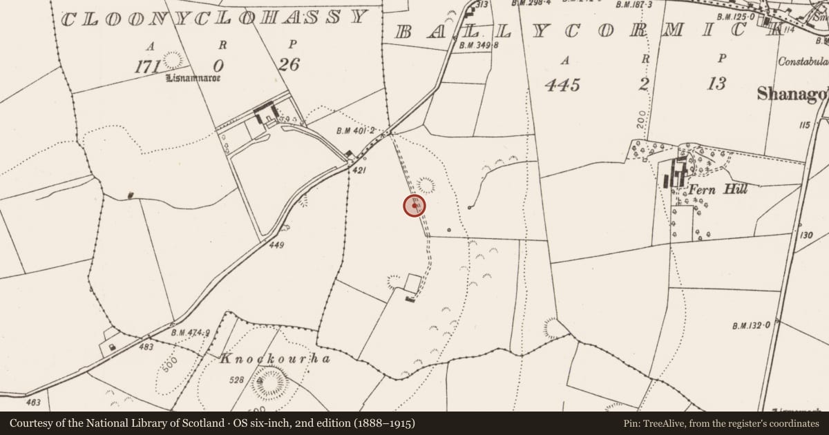 Ordnance Survey six-inch map, 2nd edition (1888–1915) covering the location of Ringfort - rath, Ballycormick, County Limerick, with a pin at the register's coordinates