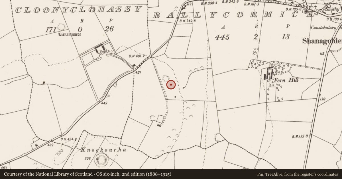 Ordnance Survey six-inch map, 2nd edition (1888–1915) covering the location of Fulacht fia, Ballycormick, County Limerick, with a pin at the register's coordinates