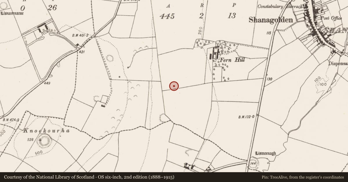 Ordnance Survey six-inch map, 2nd edition (1888–1915) covering the location of Earthwork, Ballycormick, County Limerick, with a pin at the register's coordinates
