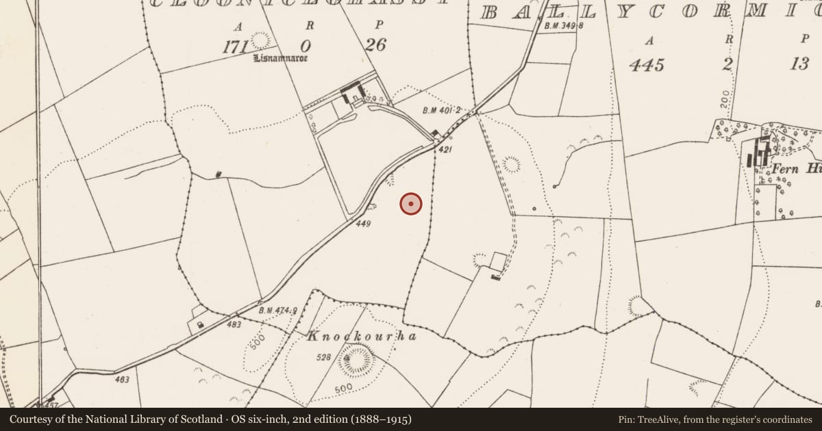 Ordnance Survey six-inch map, 2nd edition (1888–1915) covering the location of Standing stone, Cloonyclohassy, County Limerick, with a pin at the register's coordinates