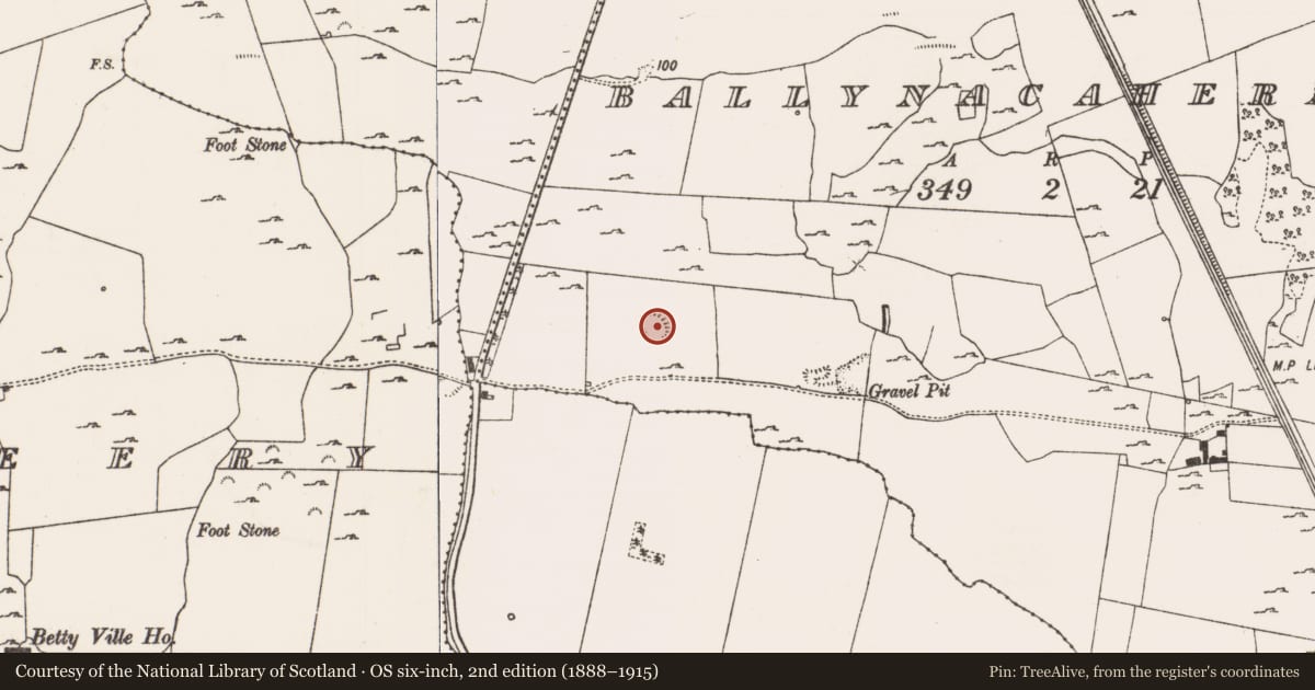 Ordnance Survey six-inch map, 2nd edition (1888–1915) covering the location of Enclosure, Ballynacaheragh, County Limerick, with a pin at the register's coordinates