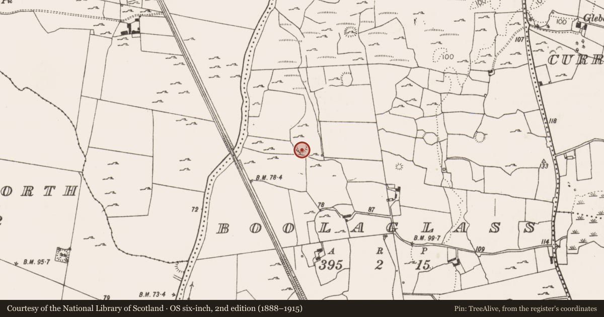 Ordnance Survey six-inch map, 2nd edition (1888–1915) covering the location of Ringfort - rath, Boolaglass, County Limerick, with a pin at the register's coordinates