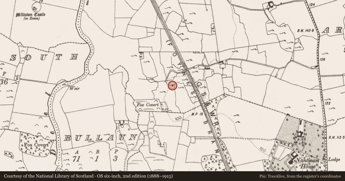 Ordnance Survey six-inch map, 2nd edition (1888–1915) covering the location of Ringfort - rath, Boolaglass, County Limerick, with a pin at the register's coordinates