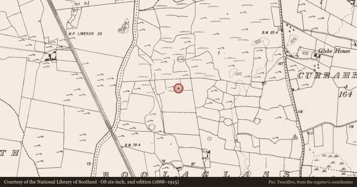 Ordnance Survey six-inch map, 2nd edition (1888–1915) covering the location of Ringfort - rath, Boolaglass, County Limerick, with a pin at the register's coordinates