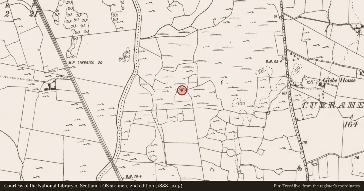 Ordnance Survey six-inch map, 2nd edition (1888–1915) covering the location of Ringfort - rath, Boolaglass, County Limerick, with a pin at the register's coordinates