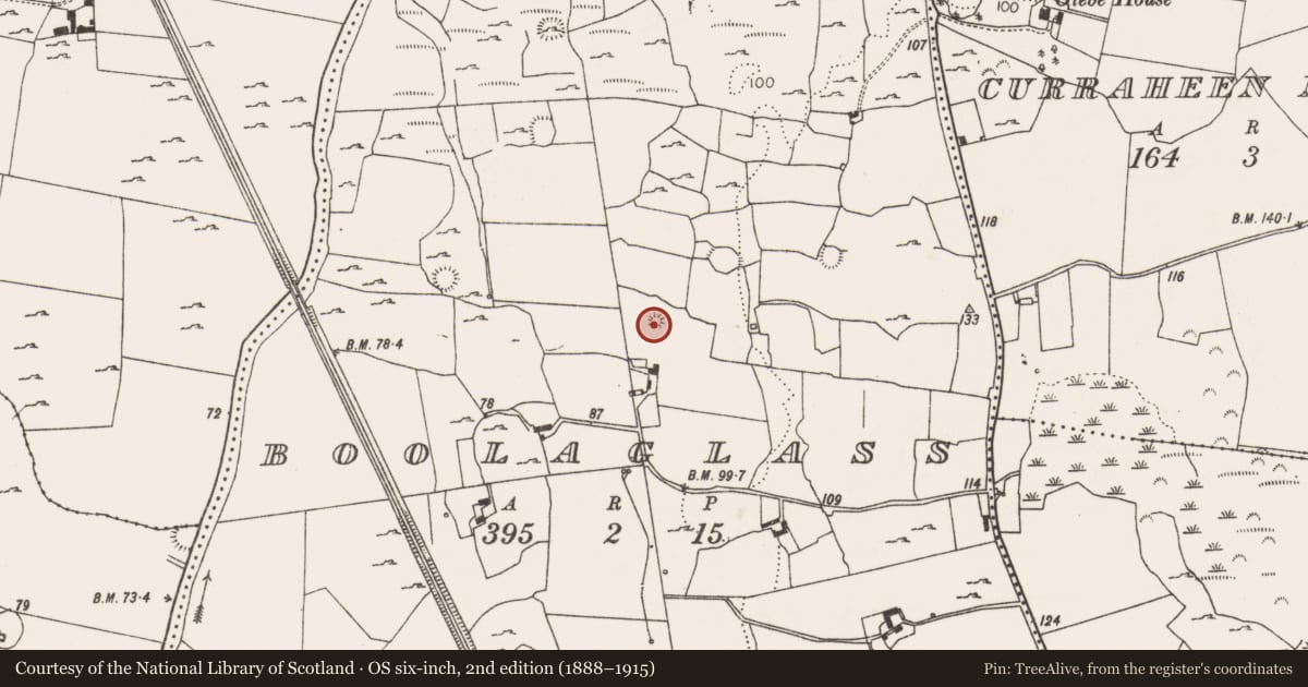 Ordnance Survey six-inch map, 2nd edition (1888–1915) covering the location of Enclosure, Boolaglass, County Limerick, with a pin at the register's coordinates