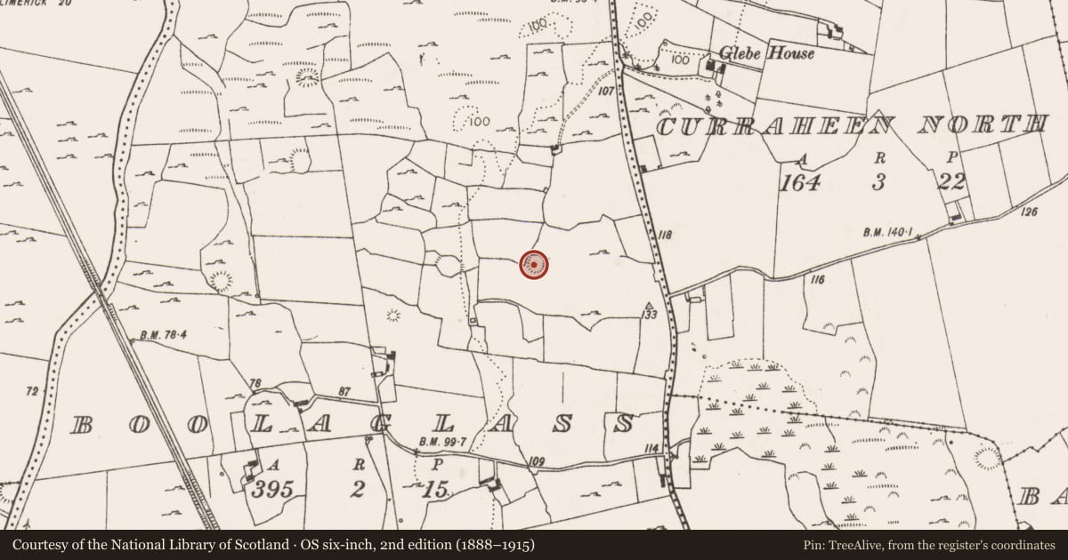 Ordnance Survey six-inch map, 2nd edition (1888–1915) covering the location of Ringfort - rath, Boolaglass, County Limerick, with a pin at the register's coordinates