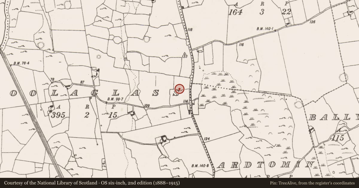 Ordnance Survey six-inch map, 2nd edition (1888–1915) covering the location of Ringfort - rath, Boolaglass, County Limerick, with a pin at the register's coordinates