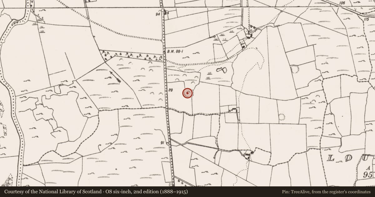 Ordnance Survey six-inch map, 2nd edition (1888–1915) covering the location of Ringfort - rath, Cragmore, County Limerick, with a pin at the register's coordinates