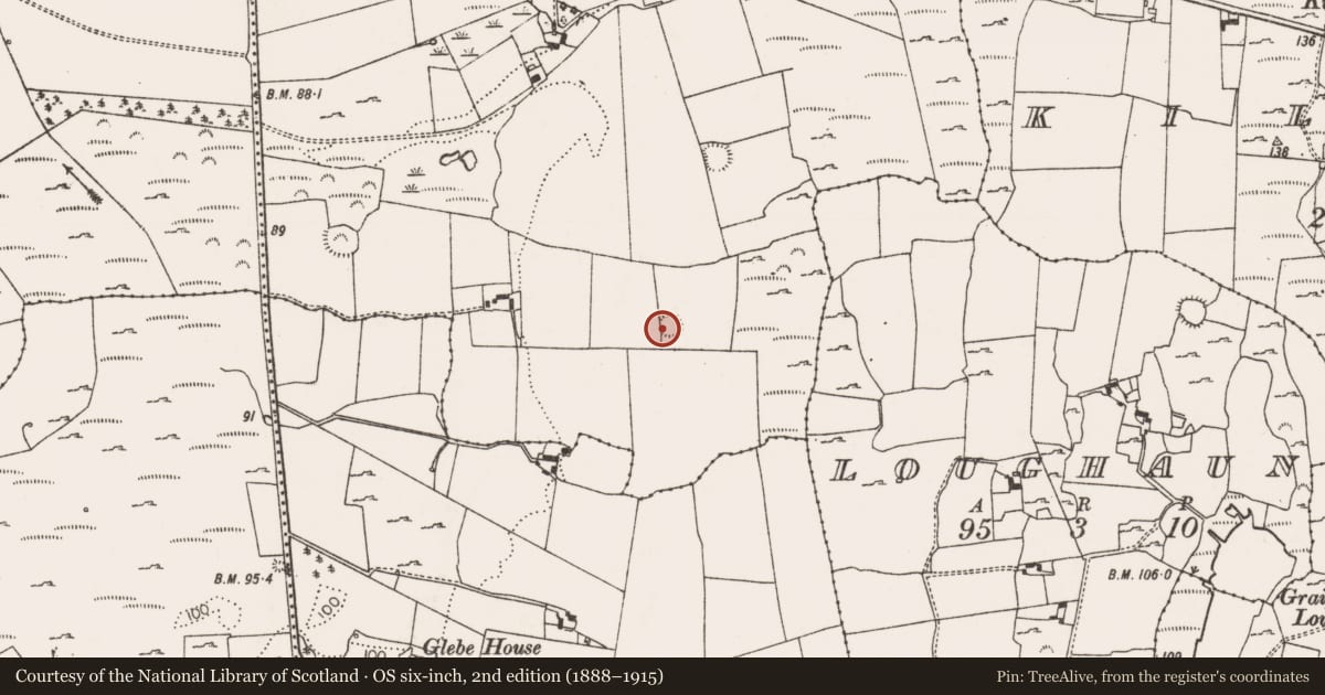 Ordnance Survey six-inch map, 2nd edition (1888–1915) covering the location of Ringfort - rath, Cragmore, County Limerick, with a pin at the register's coordinates