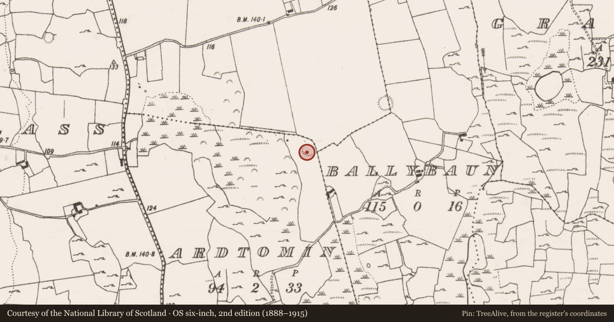 Ordnance Survey six-inch map, 2nd edition (1888–1915) covering the location of Ringfort - rath, Ardtomin, County Limerick, with a pin at the register's coordinates