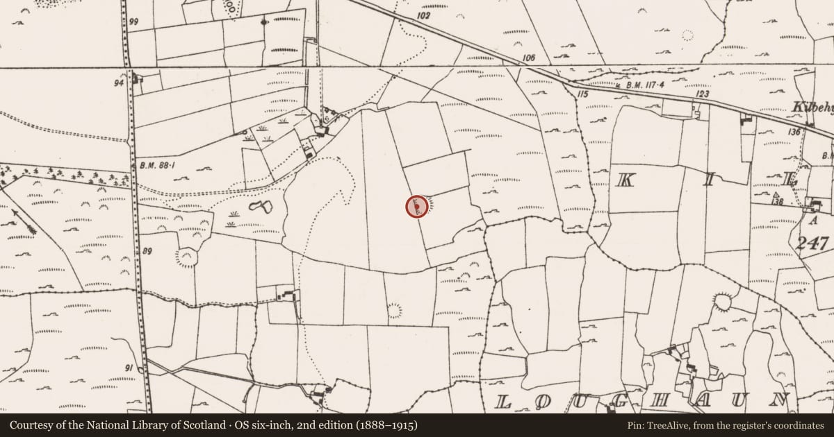 Ordnance Survey six-inch map, 2nd edition (1888–1915) covering the location of Ringfort - rath, Cragmore, County Limerick, with a pin at the register's coordinates