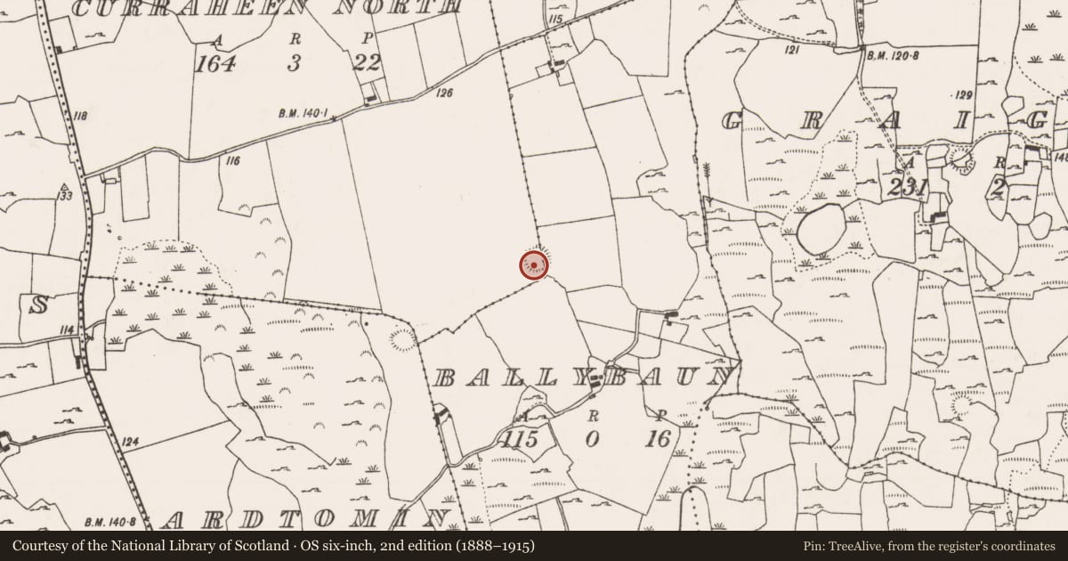 Ordnance Survey six-inch map, 2nd edition (1888–1915) covering the location of Ringfort - rath, Ballybaun, County Limerick, with a pin at the register's coordinates