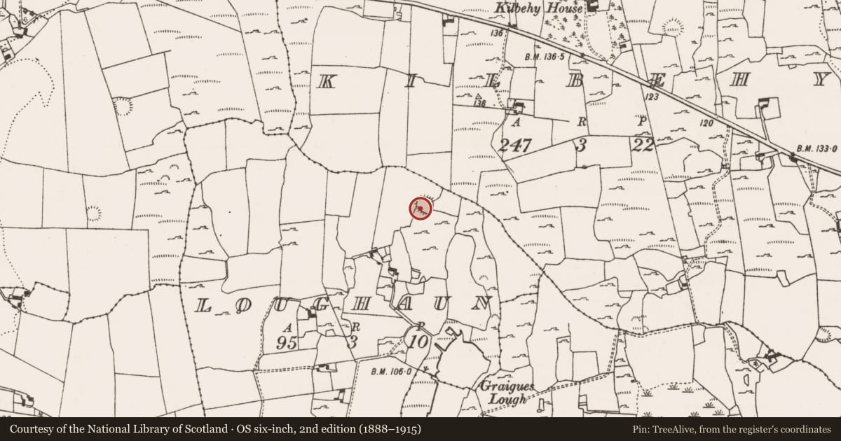 Ordnance Survey six-inch map, 2nd edition (1888–1915) covering the location of Ringfort - cashel, Loughaun, County Limerick, with a pin at the register's coordinates