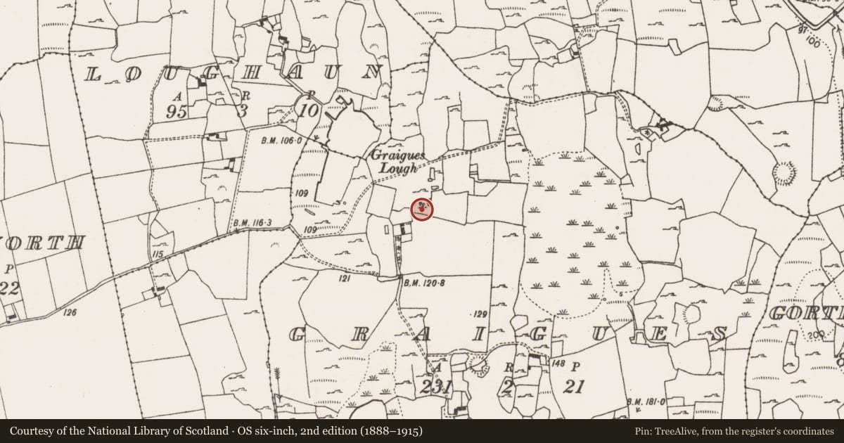 Ordnance Survey six-inch map, 2nd edition (1888–1915) covering the location of Ringfort - cashel, Graigues, County Limerick, with a pin at the register's coordinates