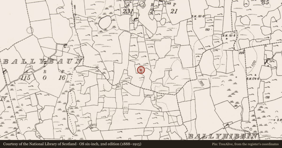 Ordnance Survey six-inch map, 2nd edition (1888–1915) covering the location of Ringfort - rath, Graigues, County Limerick, with a pin at the register's coordinates