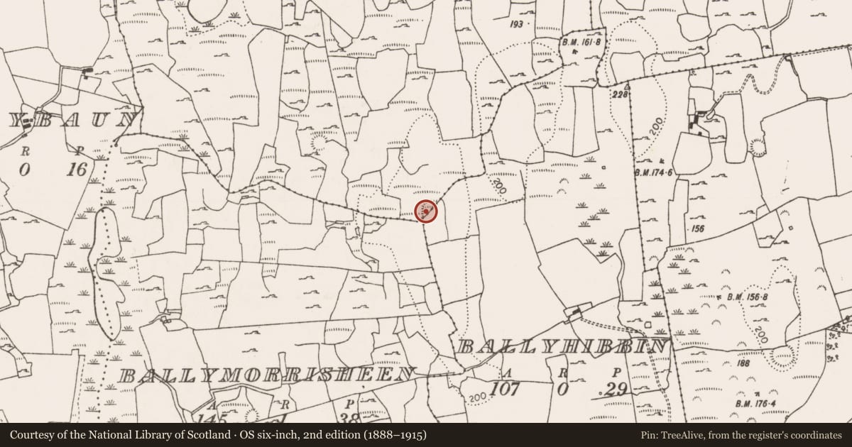 Ordnance Survey six-inch map, 2nd edition (1888–1915) covering the location of Ringfort - cashel, Graigues, County Limerick, with a pin at the register's coordinates