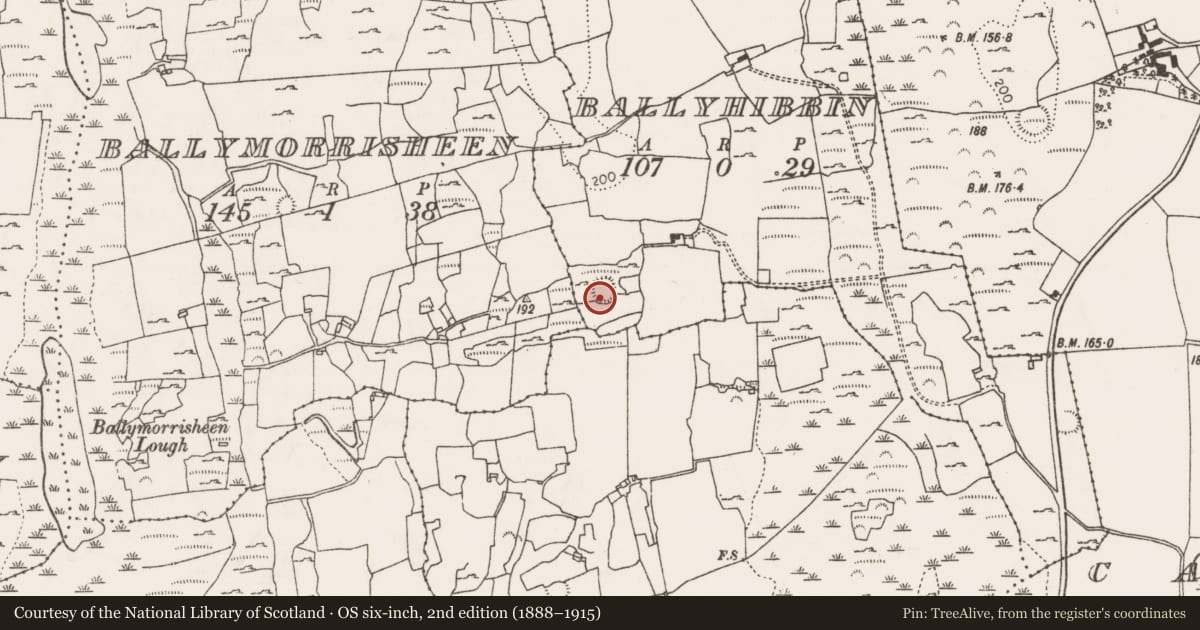 Ordnance Survey six-inch map, 2nd edition (1888–1915) covering the location of Ringfort - cashel, Ballyhibbin, County Limerick, with a pin at the register's coordinates