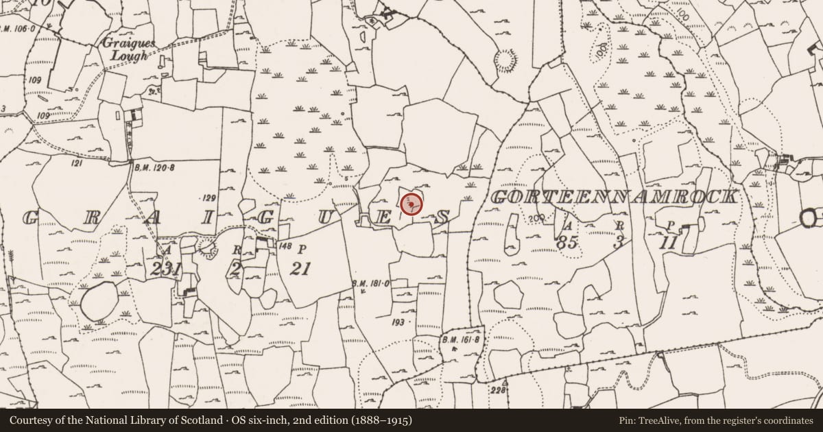 Ordnance Survey six-inch map, 2nd edition (1888–1915) covering the location of Ringfort - rath, Graigues, County Limerick, with a pin at the register's coordinates