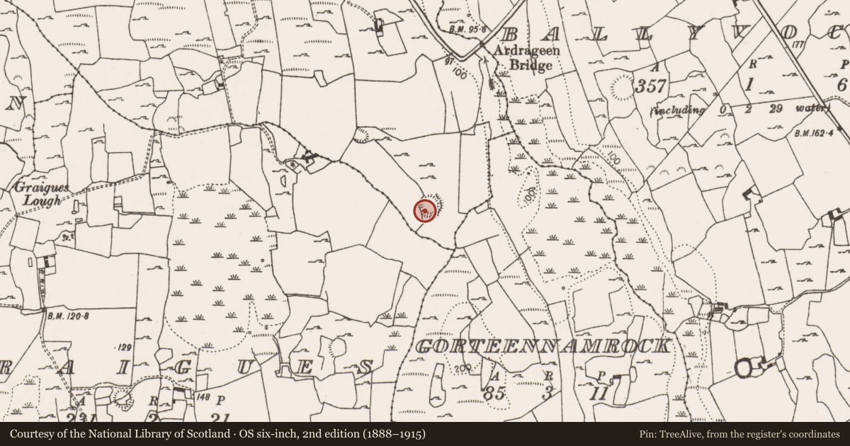 Ordnance Survey six-inch map, 2nd edition (1888–1915) covering the location of Ringfort - rath, Kilbehy, County Limerick, with a pin at the register's coordinates