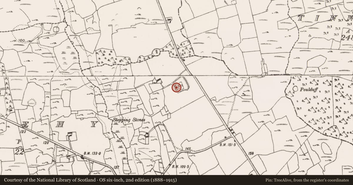 Ordnance Survey six-inch map, 2nd edition (1888–1915) covering the location of Moated site, Ballyvockoge, County Limerick, with a pin at the register's coordinates