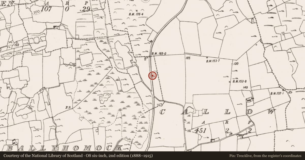 Ordnance Survey six-inch map, 2nd edition (1888–1915) covering the location of Enclosure, Ballyhibbin, County Limerick, with a pin at the register's coordinates