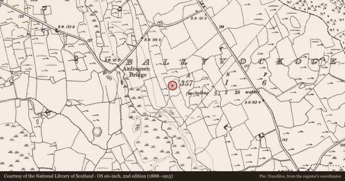 Ordnance Survey six-inch map, 2nd edition (1888–1915) covering the location of Ringfort - cashel, Ballyvockoge, County Limerick, with a pin at the register's coordinates