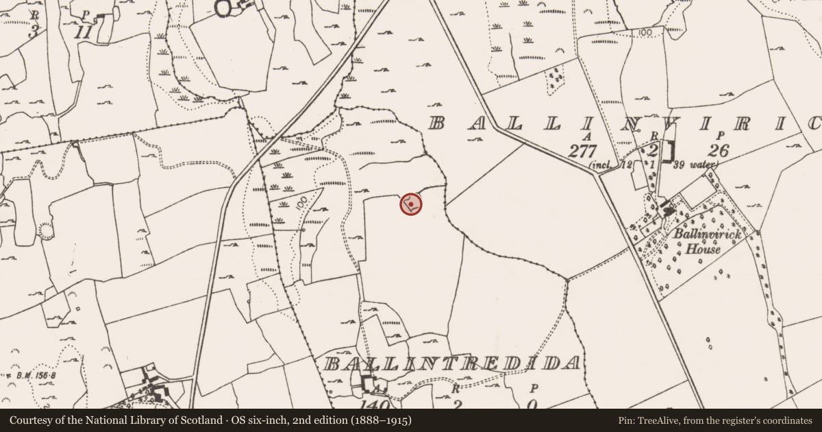 Ordnance Survey six-inch map, 2nd edition (1888–1915) covering the location of Ringfort - rath, Ballintredida, County Limerick, with a pin at the register's coordinates