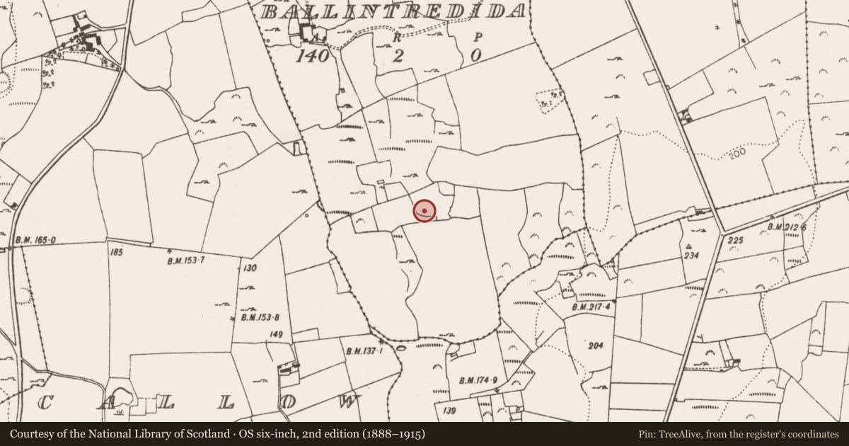 Ordnance Survey six-inch map, 2nd edition (1888–1915) covering the location of Ringfort - rath, Ballintredida, County Limerick, with a pin at the register's coordinates