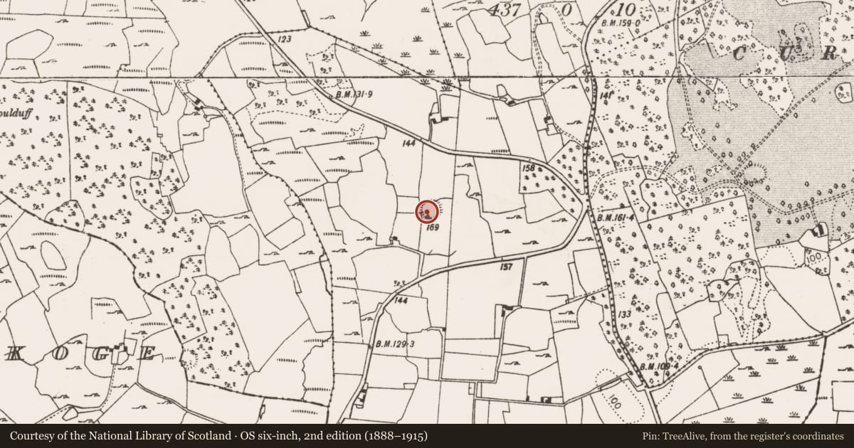 Ordnance Survey six-inch map, 2nd edition (1888–1915) covering the location of Ringfort - rath, Ballynamona, County Limerick, with a pin at the register's coordinates