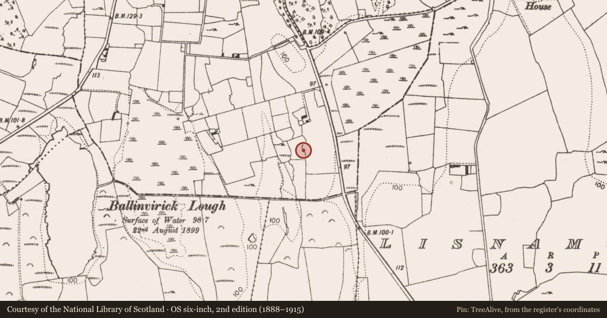 Ordnance Survey six-inch map, 2nd edition (1888–1915) covering the location of Ringfort - rath, Ballynamona, County Limerick, with a pin at the register's coordinates