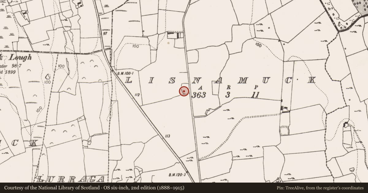 Ordnance Survey six-inch map, 2nd edition (1888–1915) covering the location of Enclosure, Lisnamuck, County Limerick, with a pin at the register's coordinates