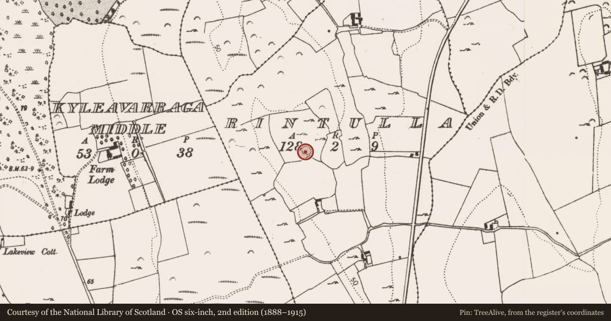 Ordnance Survey six-inch map, 2nd edition (1888–1915) covering the location of Ringfort - rath, Rintulla, County Limerick, with a pin at the register's coordinates