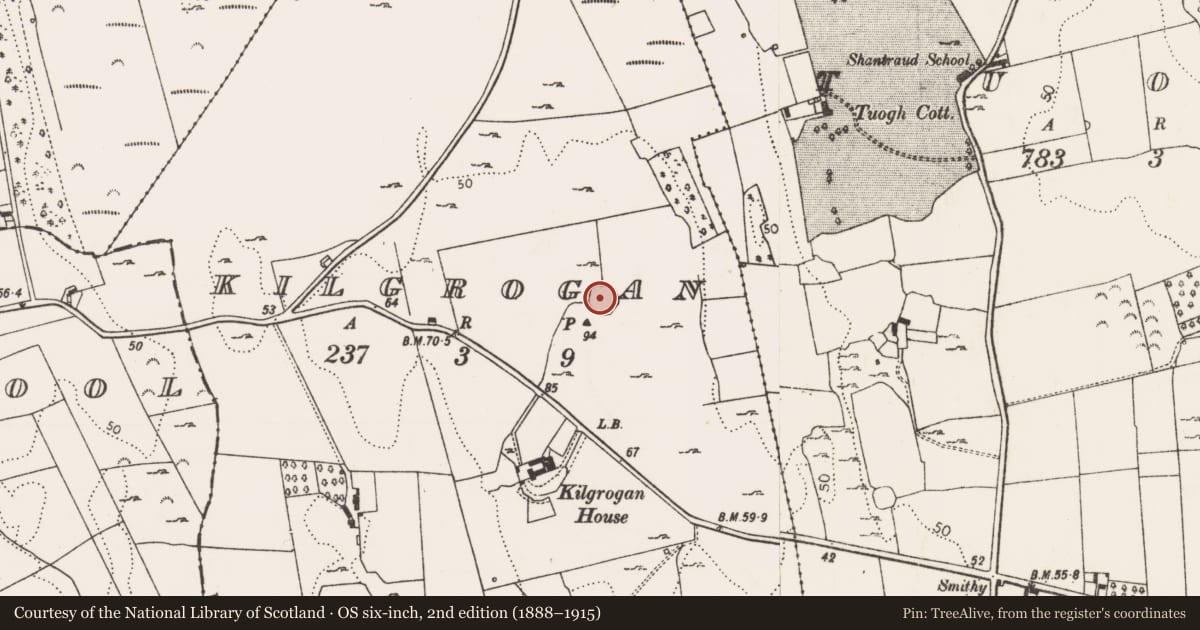Ordnance Survey six-inch map, 2nd edition (1888–1915) covering the location of Ringfort - rath, Kilgrogan, County Limerick, with a pin at the register's coordinates