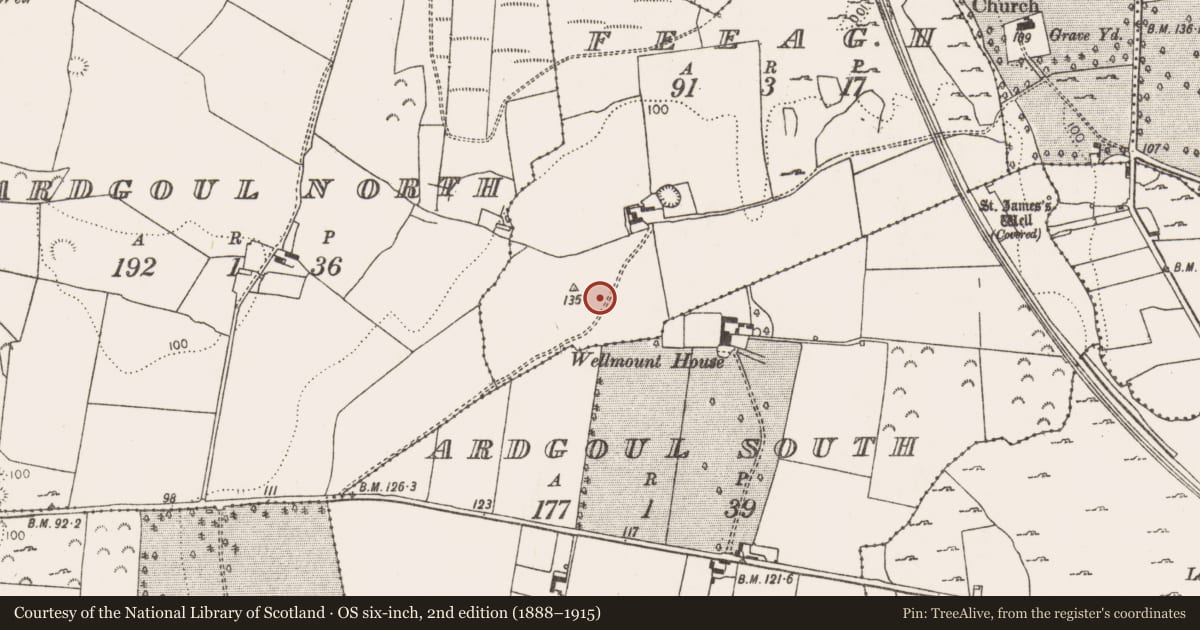 Ordnance Survey six-inch map, 2nd edition (1888–1915) covering the location of Ringfort - rath, Feeagh, County Limerick, with a pin at the register's coordinates