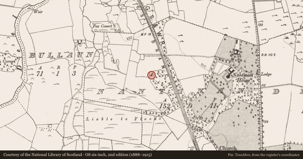 Ordnance Survey six-inch map, 2nd edition (1888–1915) covering the location of Ringfort - rath, Nantinan, County Limerick, with a pin at the register's coordinates