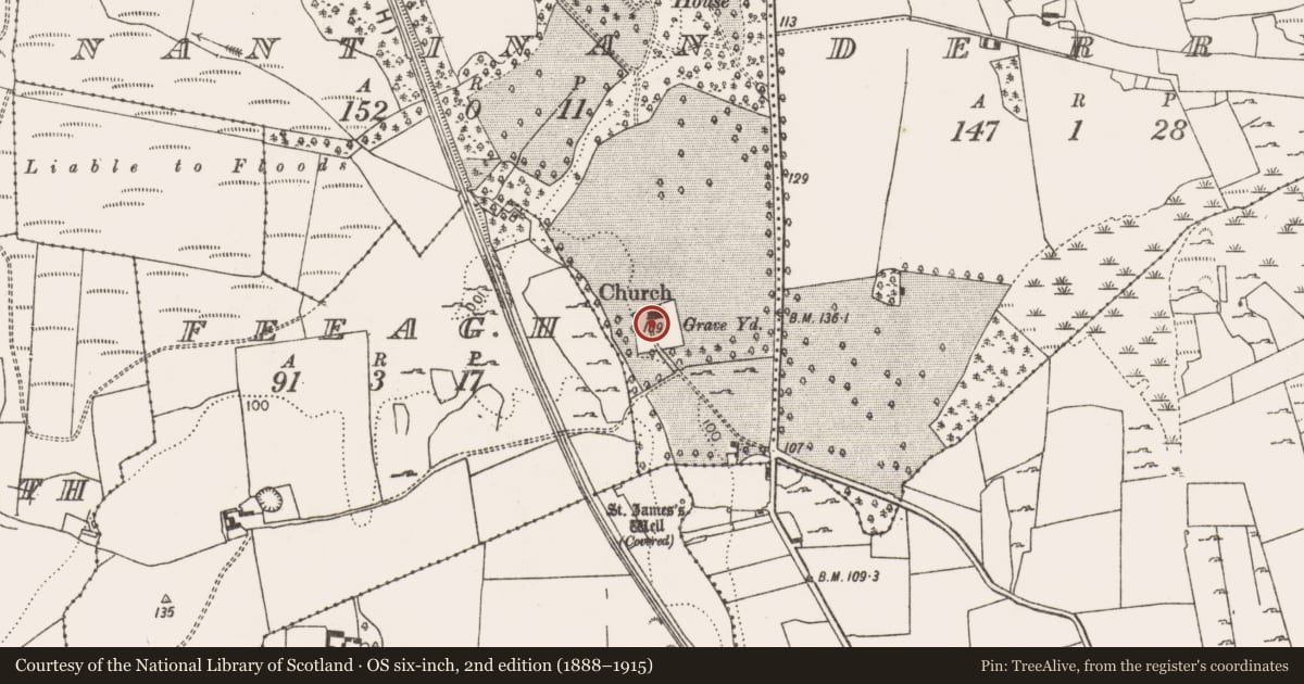 Ordnance Survey six-inch map, 2nd edition (1888–1915) covering the location of Church, Nantinan, County Limerick, with a pin at the register's coordinates
