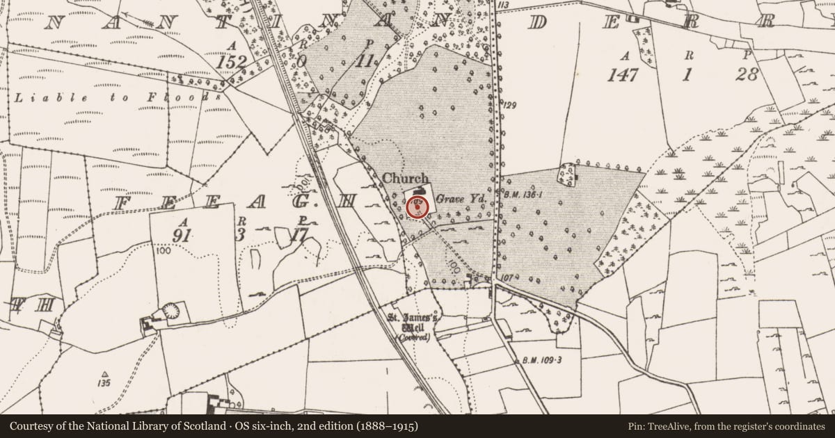 Ordnance Survey six-inch map, 2nd edition (1888–1915) covering the location of Graveyard, Nantinan, County Limerick, with a pin at the register's coordinates