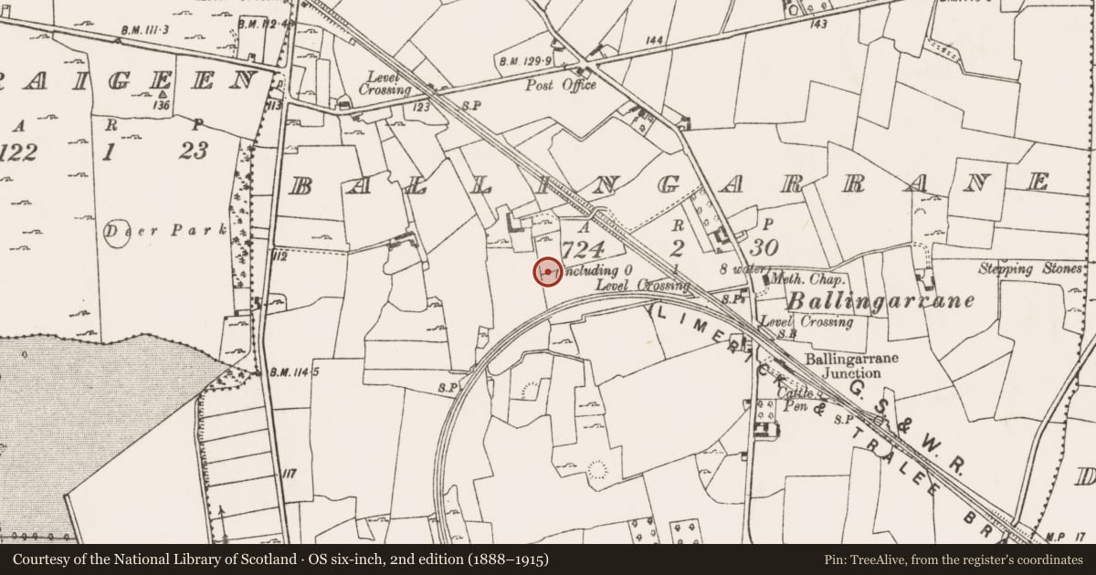 Ordnance Survey six-inch map, 2nd edition (1888–1915) covering the location of Ringfort - rath, Ballingarrane, County Limerick, with a pin at the register's coordinates