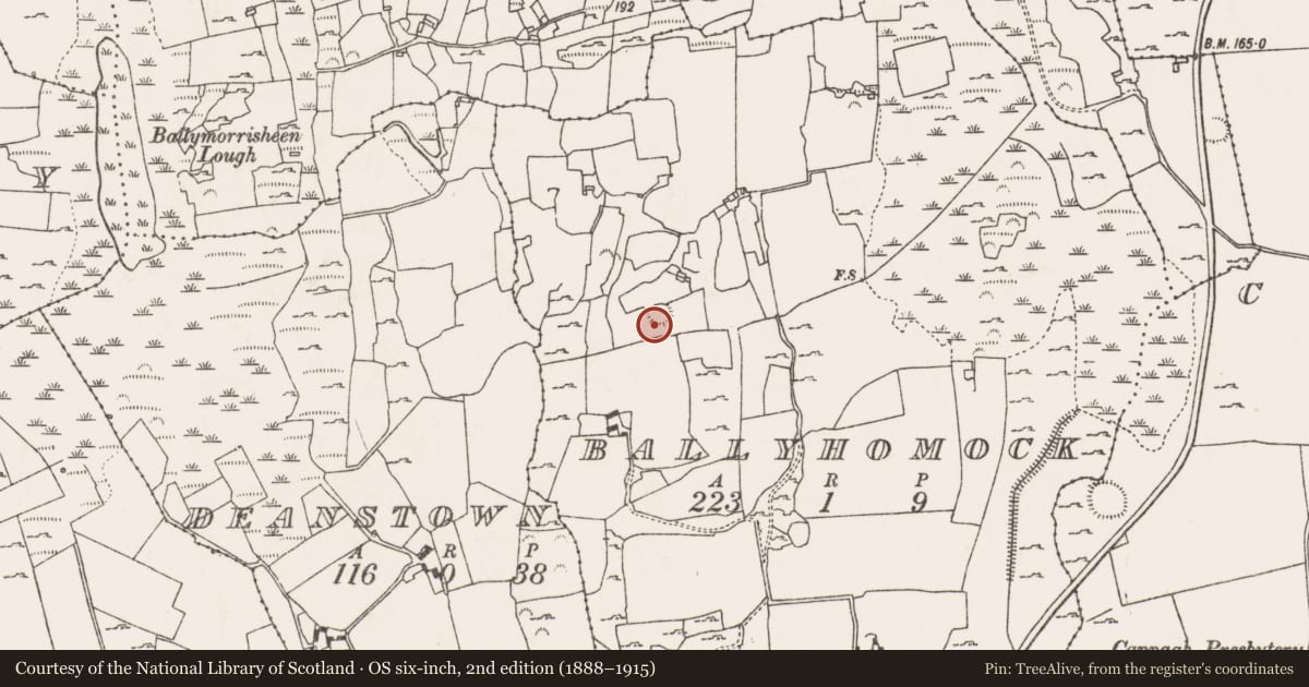 Ordnance Survey six-inch map, 2nd edition (1888–1915) covering the location of Ringfort - cashel, Ballyhomock, County Limerick, with a pin at the register's coordinates